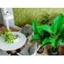 Пенополиуретановая 3D Панель Jungle